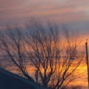 Meet your Posher, Robyn